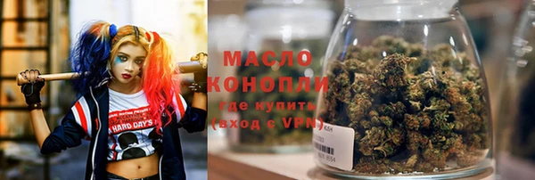 индика Белоозёрский
