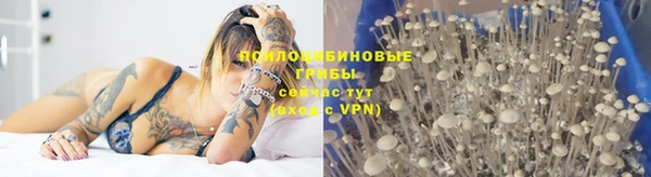 скорость Белокуриха