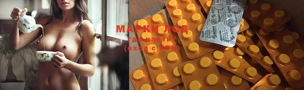 индика Белоозёрский