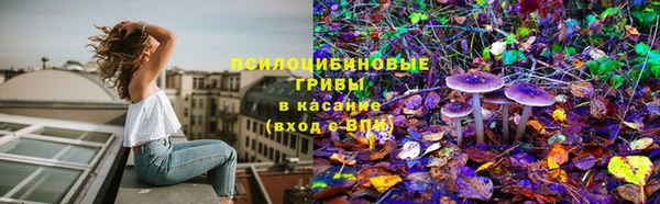 скорость Белокуриха