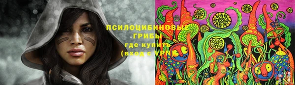 индика Белоозёрский