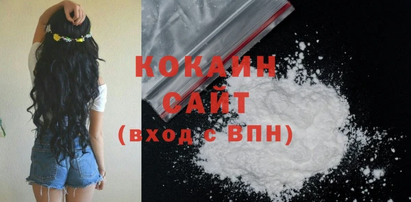 индика Белоозёрский