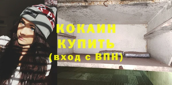 индика Белоозёрский