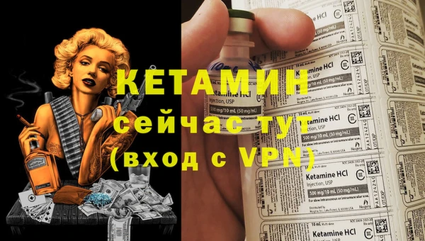 индика Белоозёрский