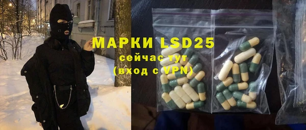 индика Белоозёрский