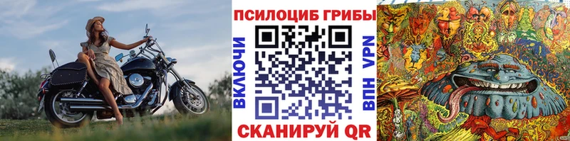 Псилоцибиновые грибы мухоморы  Щигры 